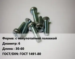 Винт с полупотайной головкой 6х30-60 ГОСТ 1491-80